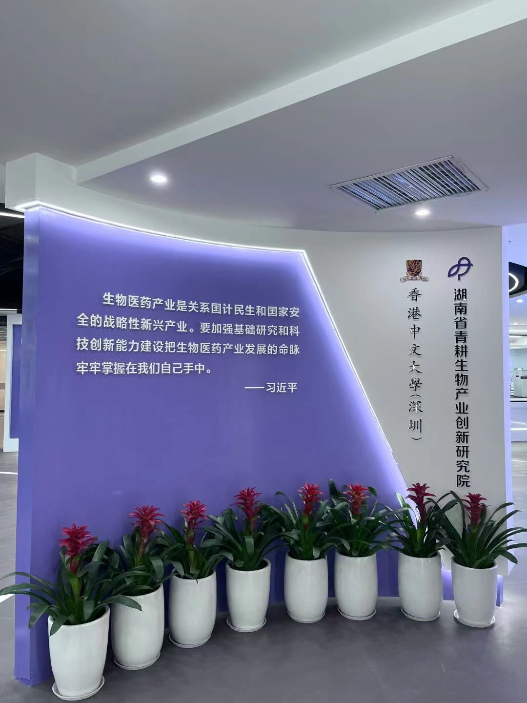 签约：香港中文大学湖南省青耕生物产业创新研究院策划设计